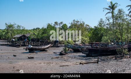 Traditionelle hölzerne Fischerboote an Land von Mangrovenbäumen bei Ebbe, Chaung Thar, Irrawaddy, West-Myanmar Stockfoto