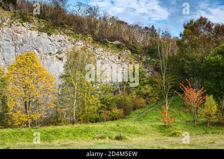 Ein Landschaftsbild herbstlicher Bäume in Warton Crag, einem beliebten Naturschutzgebiet in lancashire, England. 07. Oktober 2020 Stockfoto