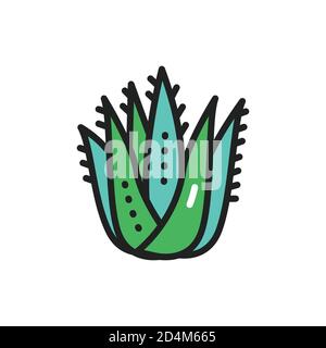 Aloe Pflanze Farbe Linie Symbol. Vektorgrafik Stock Vektor