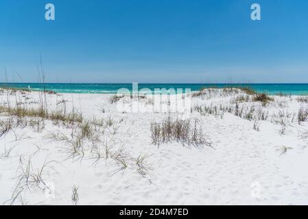 Blick über die Dünen von Shell Island, Panama City Beach, Florida mit Blick auf den Golf von Mexiko. Stockfoto