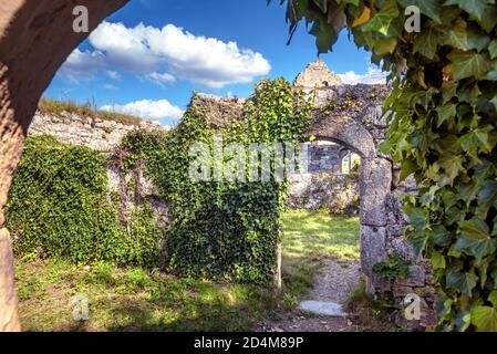 Burg Hohenurach in der Altstadt von Bad Urach, Deutschland. Bewachsen mit Efeu-Ruinen dieser mittelalterlichen Burg ist Wahrzeichen von Baden-Württemberg. Im Inneren verlassen Stockfoto