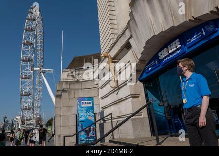 Das Sea Life Aquarium am 14. September 2020 am Südufer im Vereinigten Königreich. Foto von Sam Mellish Stockfoto