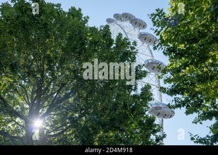 Das London Eye im Jubilee Park and Garden am 14. September 2020 am South Bank im Vereinigten Königreich. Foto von Sam Mellish Stockfoto