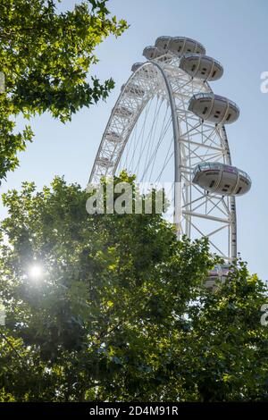 Das London Eye im Jubilee Park and Garden am 14. September 2020 am South Bank im Vereinigten Königreich. Foto von Sam Mellish Stockfoto