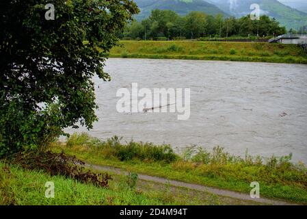 Überschwemmt rhein in Liechtenstein und der Schweiz nach ein paar Schwere Regentage 30.8.2020 Stockfoto