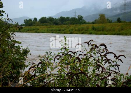 Überschwemmt rhein in Liechtenstein und der Schweiz nach ein paar Schwere Regentage 30.8.2020 Stockfoto