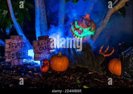 Haunted Halloween-Thema, animierte gruseligen Kürbis mit Rauch Lichter und Zeichen in der Dunkelheit von Bäumen umgeben Stockfoto