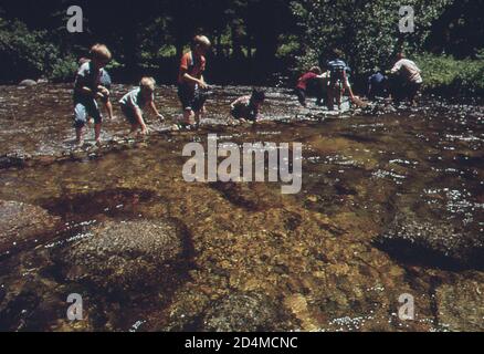 Die Denver PTA. Sponserte einen einwöchigen Sommerworkshop, um Schulkinder in die natürliche Umgebung einzuführen. Hier lernen Jugendliche, einen Damm in Boulder Creek zu bauen - Lage: In oder in der Nähe von Boulder; Colorado Ca. 1972 Stockfoto