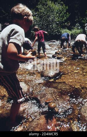 Die Denver PTA sponserte einen einwöchigen Workshop, um Schulkinder in die natürliche Umgebung einzuführen. Hier lernen Jugendliche, einen Damm in Boulder Creek zu bauen - Lage: In oder in der Nähe von Boulder; Colorado Ca. 1972 Stockfoto
