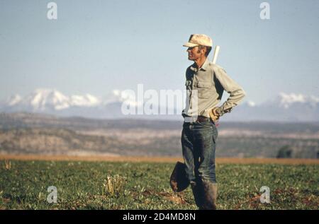 Bewässerte Farm. - Lage: In oder in der Nähe von Nucla; Colorado Ca. 1972 Stockfoto