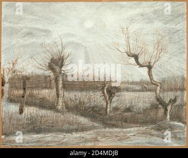 Kunst des 19. Jahrhunderts - Tetards (Pollards) ; Datum: 1884 - Vincent van Gogh - Niederländisch; 1853-1890 Stockfoto