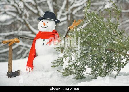 Schneemann - Holzfäller Tanne im weißen Schnee Hintergrund. Am Morgen vor Weihnachten. Schneemann trägt Weihnachtsbaum im Wald. Lustig Stockfoto