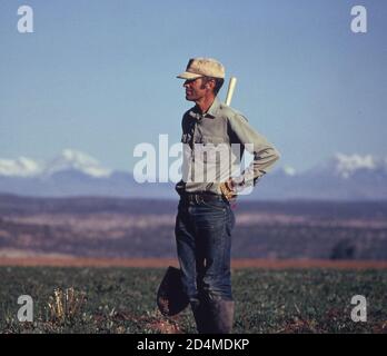 Arbeiter bewässert Land mit Wasser vom San Miguel River - Lage: In oder in der Nähe von Nucla; Colorado Ca. 1972 Stockfoto