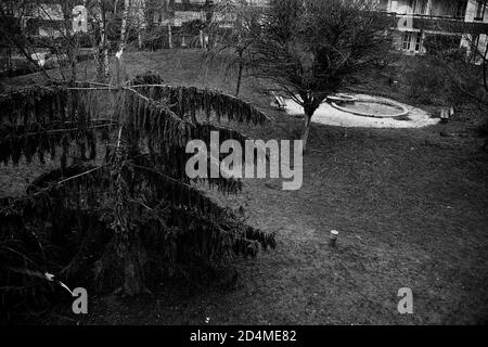 AJAXNETPHOTO. DEZEMBER 1999. LOUVECIENNES, FRANKREICH. - STURMSCHÄDEN - KIEFER (LINKS) BESCHÄDIGT IM STURM IM PRIVATEN GARTEN FÜR DIE BEWOHNER VON WOHNUNGEN IN EINEM GEBIET AUF HÖHEN NORDÖSTLICH DES DORFZENTRUMS MIT BLICK AUF DIE SEINE; EINER VON VIELEN ORTEN IN DER GEGEND, DIE VON IMPRESSIONISTISCHEN MALERN DES 19. JAHRHUNDERTS WIE ALFRED SISLEY, CAMILLE PISSARRO, AUGUSTE RENOIR UND ANDEREN VOR DER MODERNEN NEUGESTALTUNG DER LANDSCHAFT BESUCHT WURDEN. FOTO: JONATHAN EASTLAND/AJAX REF: CD6998 2 3 Stockfoto