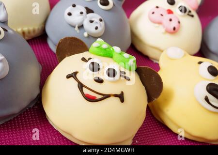 Kuchen in Form von kleinen Tieren. Selbstgebackenes Soufflé in der Glasur ist in Form von Tiermuzzles gerahmt. Stockfoto