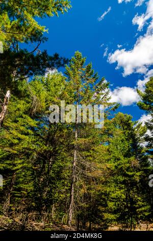 Laurentians Parks und Naturschutzgebieten Stockfoto