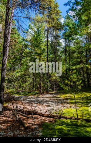 Laurentians Parks und Naturschutzgebieten Stockfoto