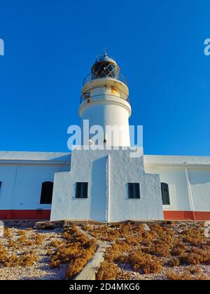 Far de Cavelleria (Leuchtturm von Cavalleria), Menorca, Spanien Stockfoto