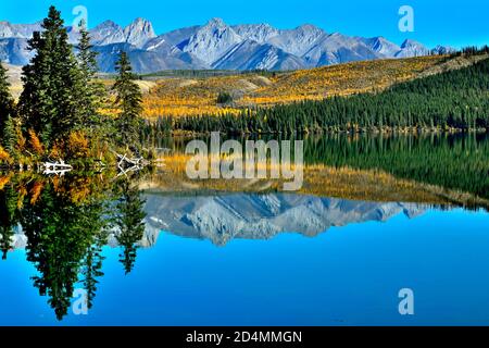 Eine wunderschöne Herbstszene der bunten Blätter entlang der Shore on Sligline Ridge mit der Miette Range in der Hintergrund spiegelt sich in der Still Stockfoto