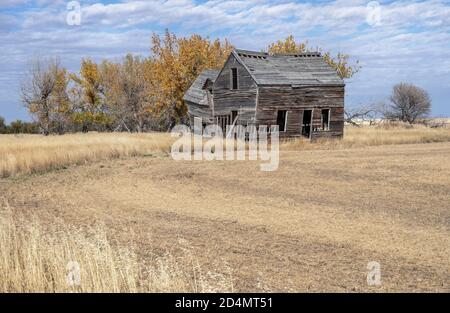 Verlassene Bauernhaus in der Nähe der Stadt Foremost, Alberta, Kanada Stockfoto