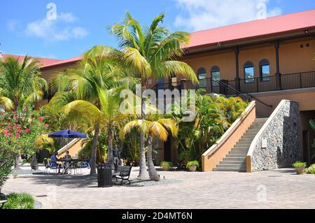 Long-Bay Beach mit Touristen genießen den Schatten der schönen Palmen und schönen hellen Tag. Stockfoto