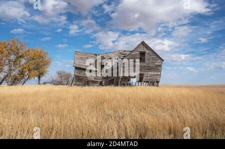 Verlassene Bauernhaus in der Nähe der Stadt Foremost, Alberta, Kanada Stockfoto