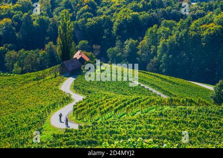 Radfahrer auf der berühmten Weinstraße in Form eines Herzens, eine charmante Region an der Grenze zwischen Österreich und Slowenien mit grünen Hügeln, Weinig Stockfoto
