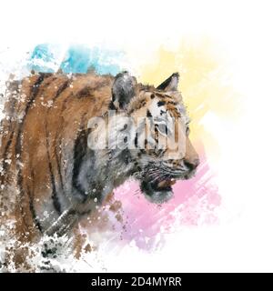 Tiger Porträt Aquarell.Digitale Illustration. Stockfoto