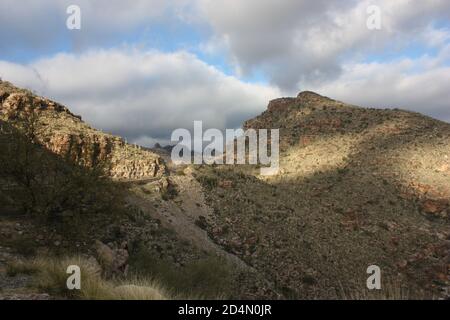 Sonoran Wüste Berghänge mit Saquaro Kaktus unter einem Dramatisch erleuchteter Himmel Stockfoto