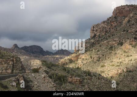 Sonoran Wüste Berghänge mit Saquaro Kaktus unter einem Dramatisch erleuchteter Himmel Stockfoto