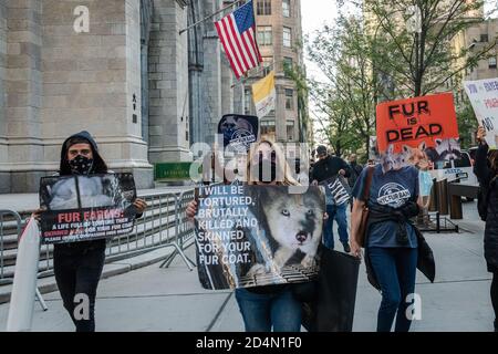 New York City, USA. Oktober 2020. Tierschützer starten die Pelzsaison mit einem Protest, der das Verbot von Pelzkleidung am 9. Oktober 2020 in New York City fordert. (Foto von Gabriele Holtermann/Sipa USA) Quelle: SIPA USA/Alamy Live News Stockfoto