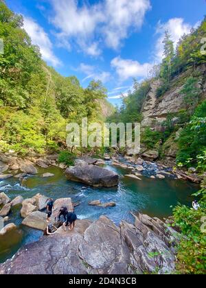 Tallulah George State Park Stockfoto