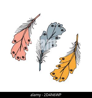 Bunte detaillierte Vogelfedern. Hand bearbeitbaren Elemente gezeichnet, realistischen Stil, Vector Illustration. Stock Vektor