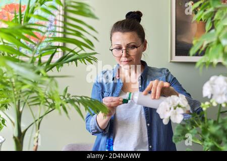Frau gießt flüssigen Mineraldünger. Anbau und Pflege von Topfpflanzen im Innenbereich Stockfoto