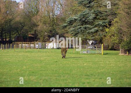 Schläger bei der Arbeit bei einem Game-Shooting in Lancashire, England Stockfoto