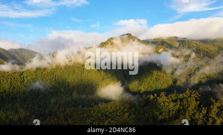 Luftaufnahme des Sonnenaufgangs in den Bergen mit Regenwald mit Wolken bedeckt. Philippinen, Mindanao. Stockfoto