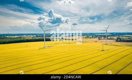 Luftaufnahme von Windkraftanlagen auf goldenem Feld, Luftaufnahme, Polen Stockfoto