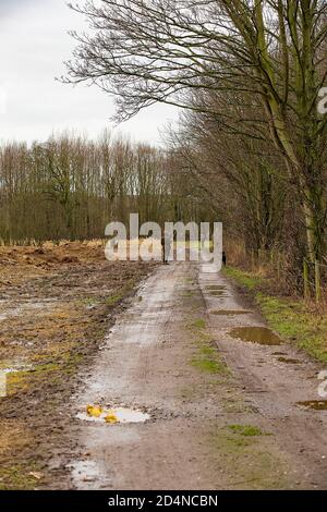 Ziel auf einen Vogel bei einem driven Spiel schießen in Lancashire, England Stockfoto