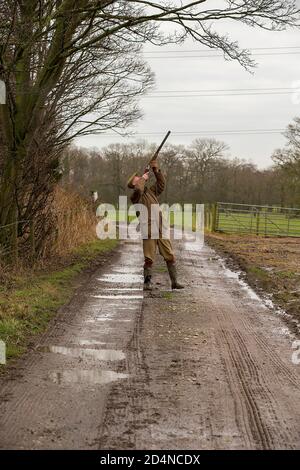 Ziel auf einen Vogel bei einem driven Spiel schießen in Lancashire, England Stockfoto