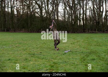 Ziel auf einen Vogel bei einem driven Spiel schießen in Lancashire, England Stockfoto