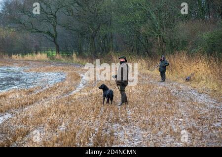 Schläger bei der Arbeit bei einem Game-Shooting in Lancashire, England Stockfoto