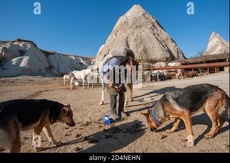 Kappadokie, T urkey. 8. November 2017 Irfan braucht keinen Hufschmied, mit Hilfe von YouTube-Videos hat er sich selbst beigebracht, die Schuhe des Pferdes zu wechseln Stockfoto