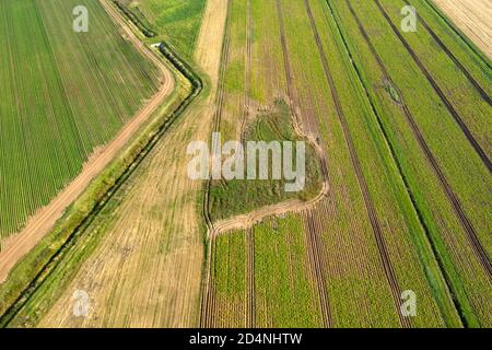 Draufsicht auf landwirtschaftliche Felder am Herbsttag Stockfoto