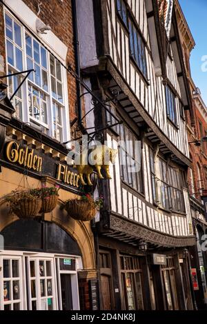 Großbritannien, England, Yorkshire, York, Pavement, Golden Fleece Pub und York Gin in altem Fachwerkgebäude Stockfoto