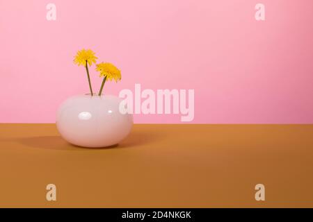 Gelbe Löwenzahn Blüten in einer rosa farbigen runden Glasvase stehen eine braune Oberfläche und einen rosa Hintergrund. Optimistische Landschaft, erhebend und happ Stockfoto