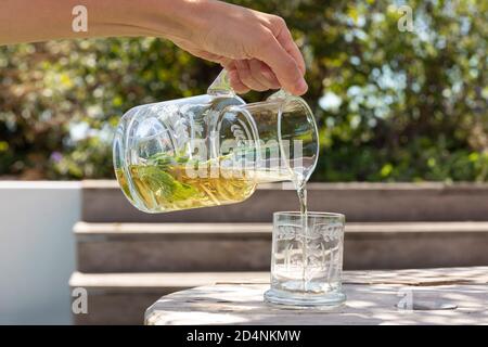 Eine weibliche Hand hält eine geätzte Glaskaraffe Gießen gesund Hausgemachter Saft mit Minzblättern in ein Glas draußen in Eine natürliche Umgebung auf einem sonnigen Stockfoto