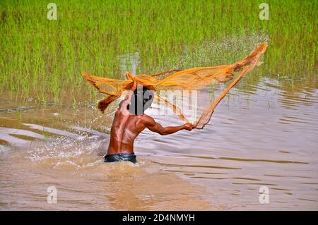 Rückansicht eines jungen asiatischen Fischers, der hüfthoch im Wasser steht, während er ein traditionelles Fischernetz wirft. Stockfoto