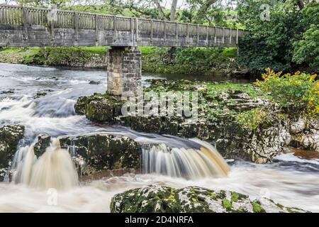 Die Linton Falls in der Nähe von Linton und Grassington, mit der hölzernen Fußgängerbrücke über die Wasserfälle und River Wharfe im Yorkshire Dales National Park Stockfoto