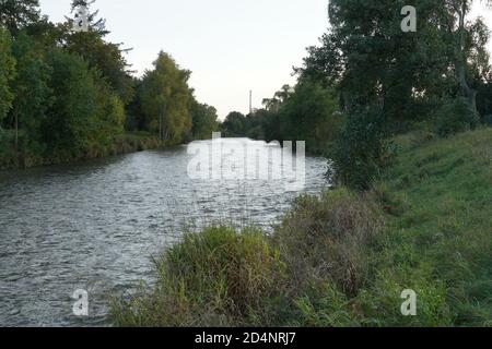 Fluss Turiec in der Stadt Martin in der Nordslowakei mit wilder Vegetation, Bäumen Sträuchern und hohem Gras an beiden Ufern. Das Foto vom Flussufer. Stockfoto