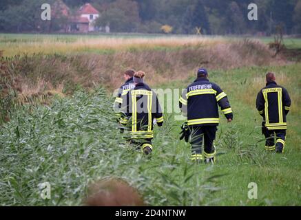 Bleyen, Deutschland. Oktober 2020. Feuerwehrleute suchen im Kerngebiet der Afrikanischen Schweinepest nach toten Wildschweinen. Nach dem offiziell bestätigten Ausbruch der Afrikanischen Schweinepest bei Wildschweinen in Märkisch-Oderland werden weitere Maßnahmen ergriffen, um die Ausbreitung der Seuche zu verhindern. Quelle: Bernd Settnik/dpa-Zentralbild/dpa/Alamy Live News Stockfoto